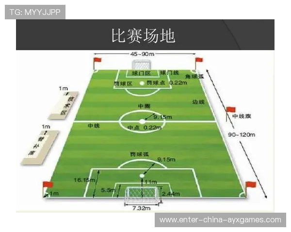 裁判判罚数据化或将改变比赛观看体验